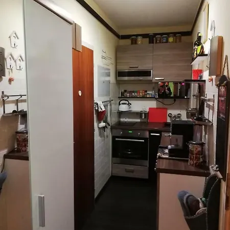 Schneerose * Tauplitz