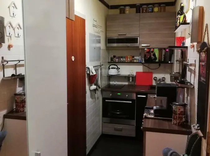 Schneerose * Tauplitz